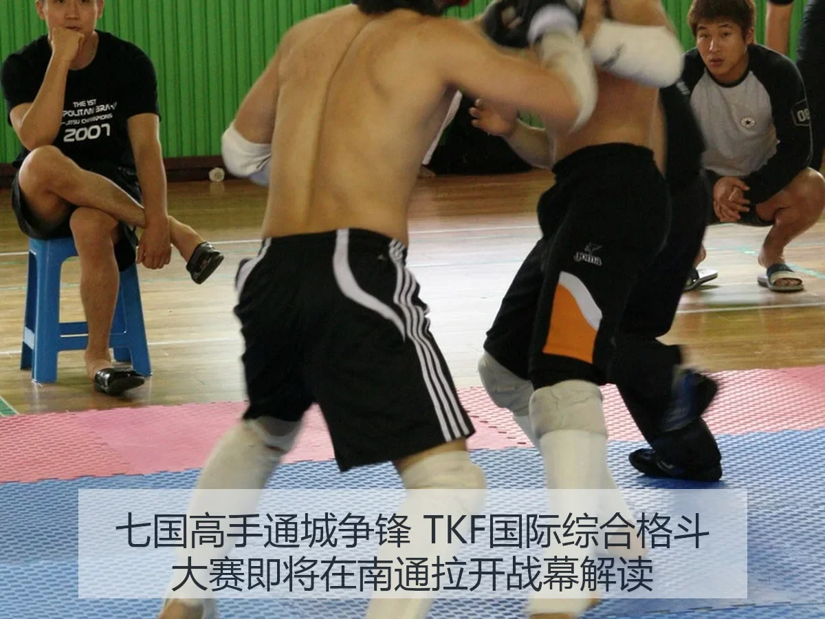 七国高手通城争锋 TKF国际综合格斗大赛即将在南通拉开战幕解读